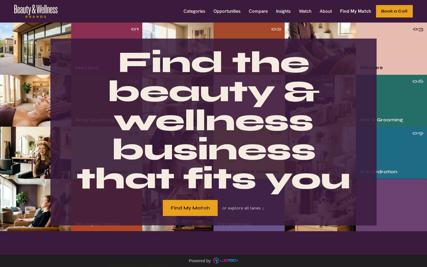 Screenshot of the Beauty and Wellness Brands website built by Lucitech