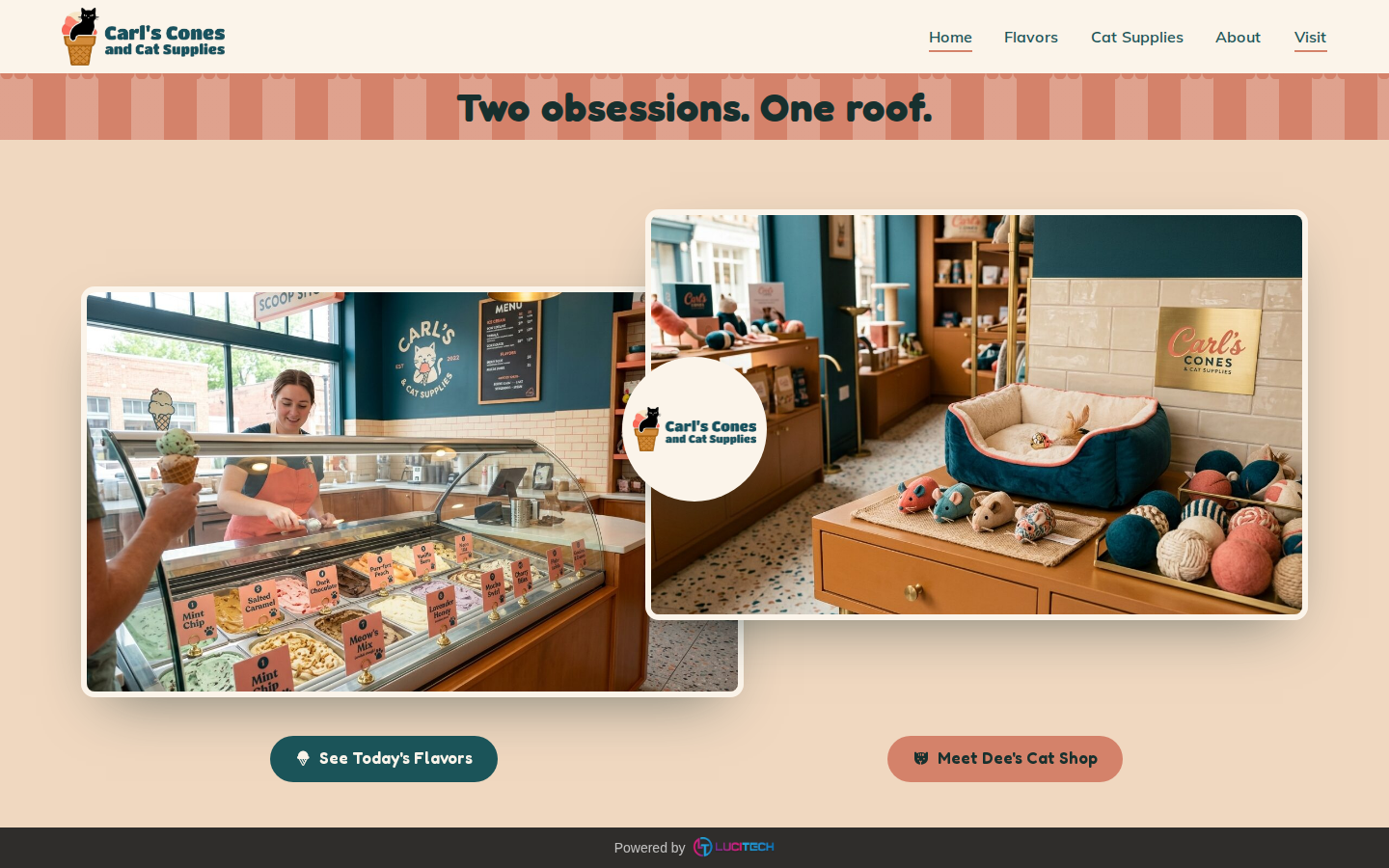Screenshot of the Carl’s Cones and Cat Supplies website built by Lucitech